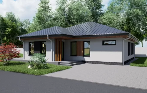Image(11) Proiect casa parter in Vanatori