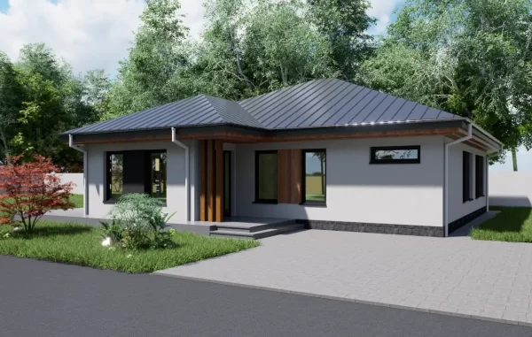 Proiect casa parter in Vanatori